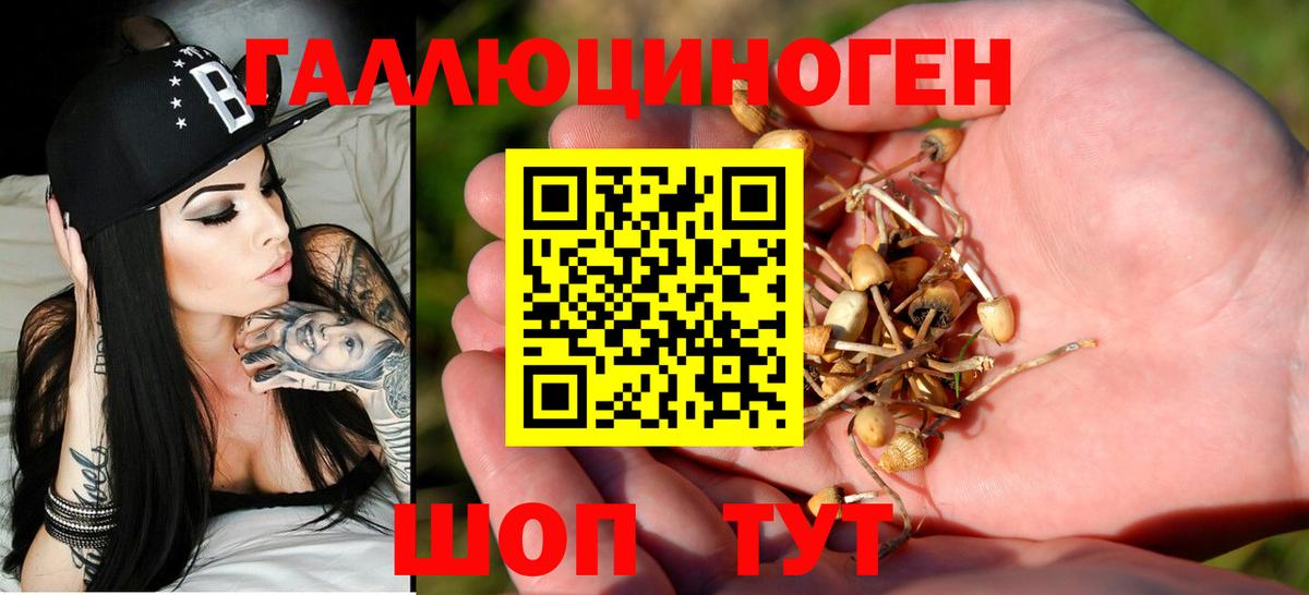 Галлюциногенные грибы MAGIC MUSHROOMS  Вход с VPN  Унеча  Галлюциногенные грибы мухоморы 